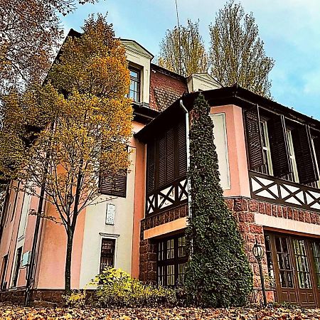 Party Villa Holiday Rent Balatonföldvár Екстериор снимка