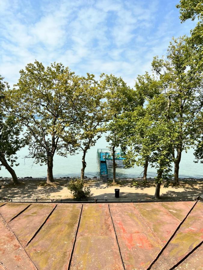 Party Villa Holiday Rent Balatonföldvár Екстериор снимка